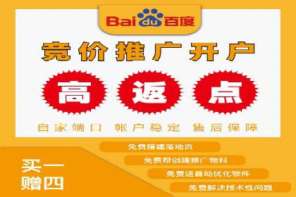 百度SEM竞价推广成功案例：某电商平台的营销奇迹